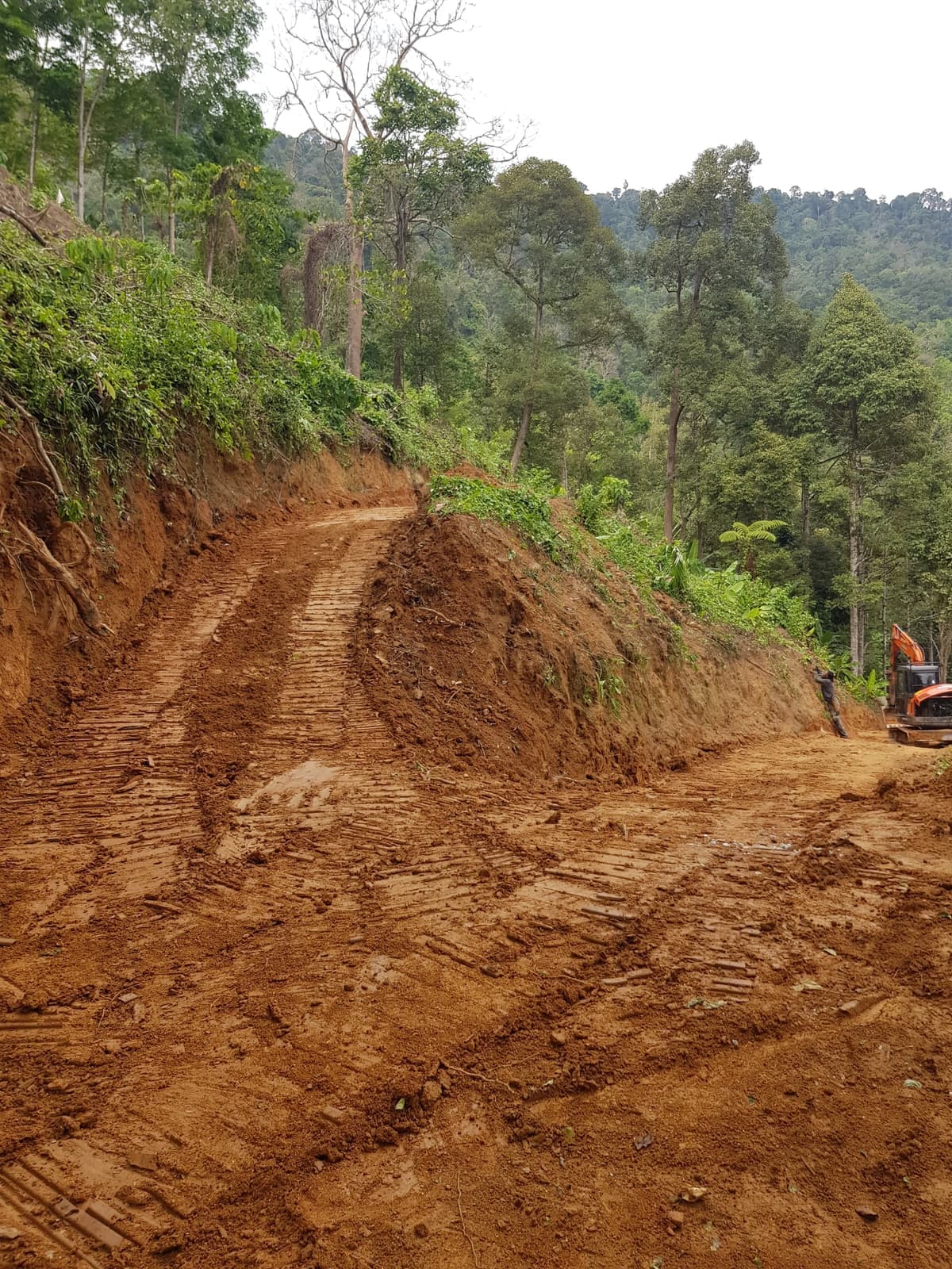 Jalan ladang tanah merah yang baru dibentuk di lereng bukit