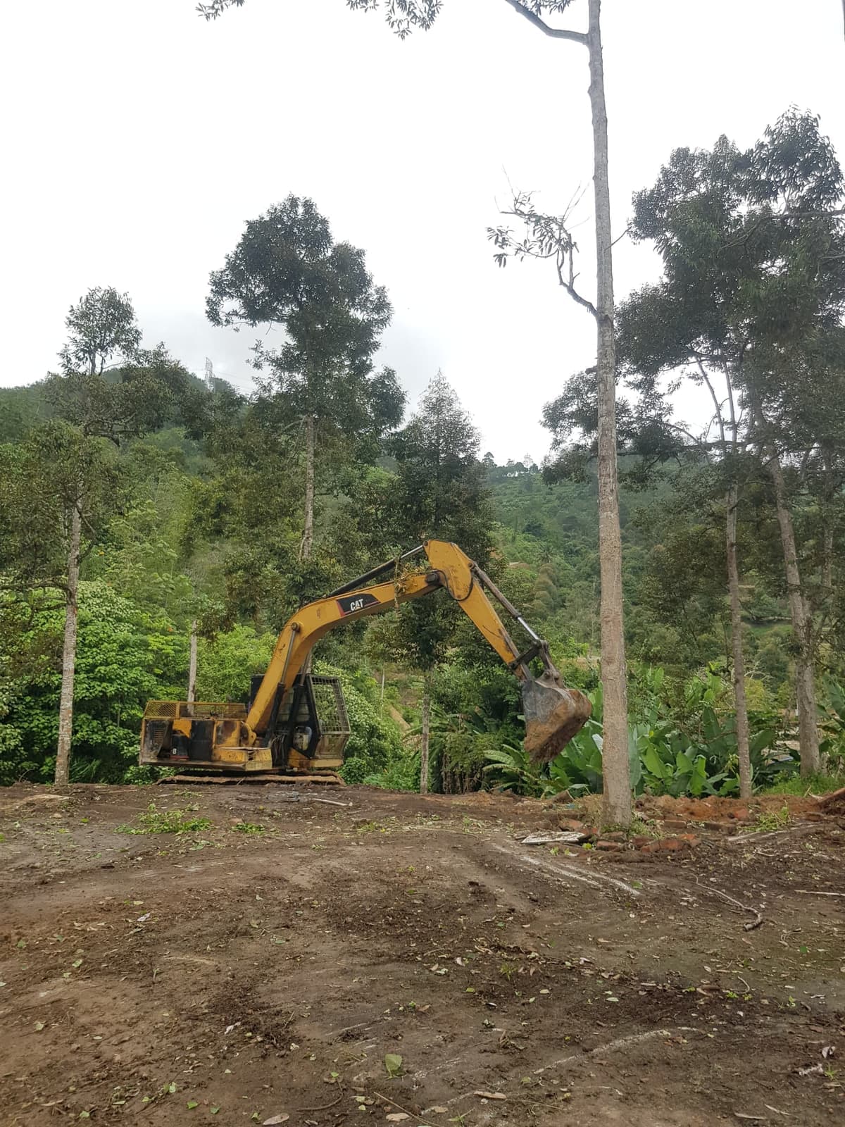Jentera pengorek menebang dan membersihkan pokok di lereng tapak projek